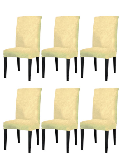 velvet-dining-chair-cover-cream-pack-of-6