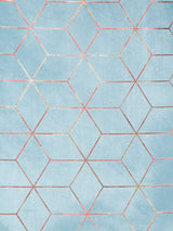 Pack of 2 Velvet Regular Geometric Foil Door Curtains- Light Blue